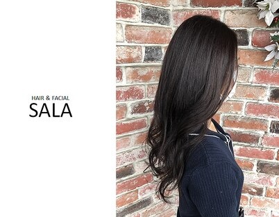 【美容室SALA】春に向けた髪のケアとスタイルチェンジはいかがですか？