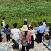 特別活動の様子